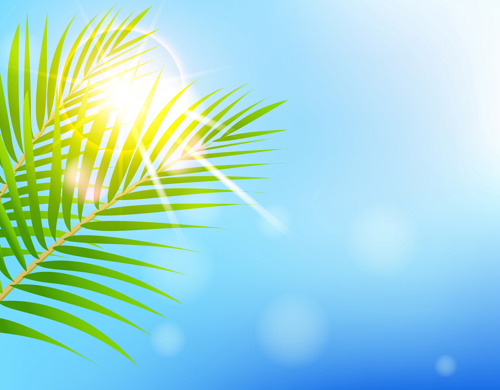 500x390 Shiny Summer Background Vector Free Vector In Encapsulated
