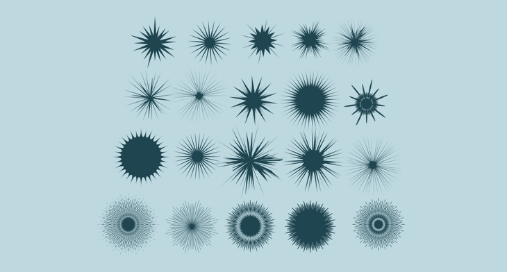 730x392 Sunburst Brushes