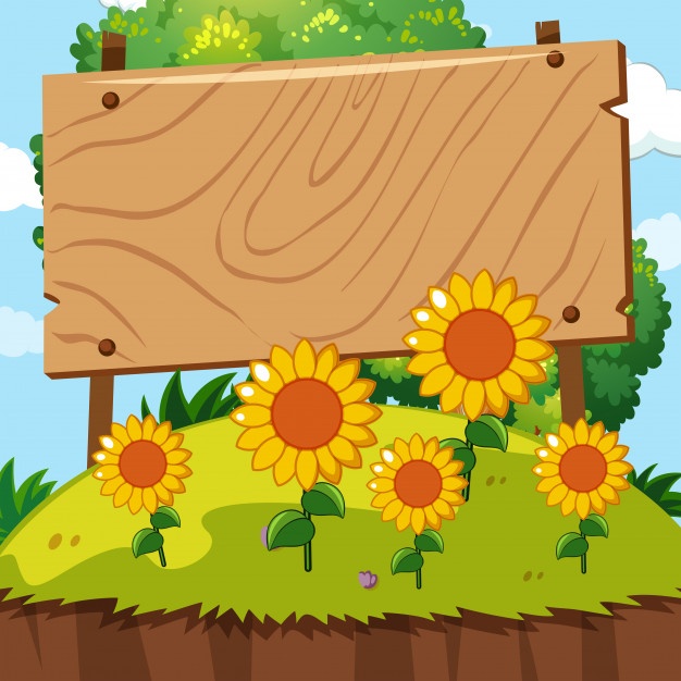 626x626 Sunflower Vector Vectors, Photos And Psd Files Free Download