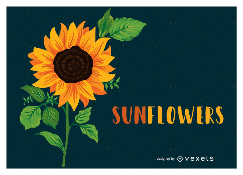 788x570 Sunflower Illustration With Text