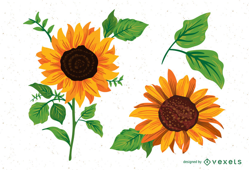 Sunflower Illustration Vector at GetDrawings | Free download