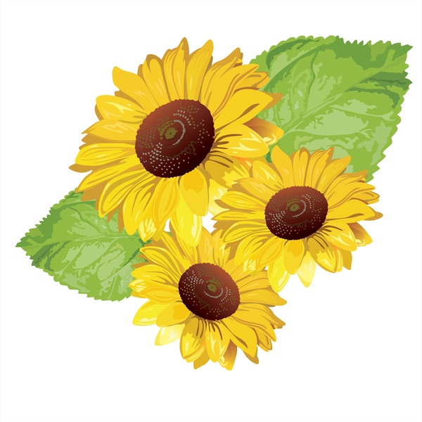 600x600 Sunflower Vector Free Vector In Encapsulated Postscript Eps ( .eps