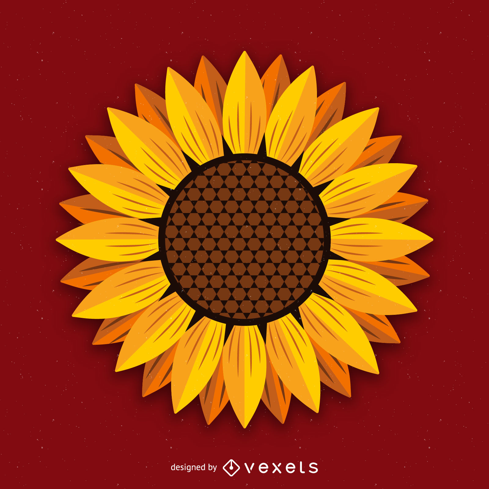 1600x1600 Hand Drawn Sunflower Illustration