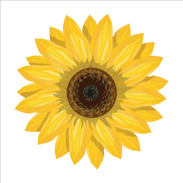 600x600 Simlpe Sunflower Vector Free Download