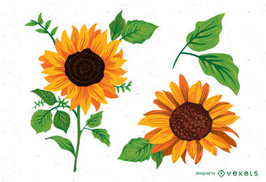 381x260 Sunflower Vector Amp Graphics To Download