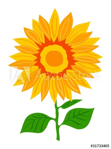 375x500 Sunflower. Vector