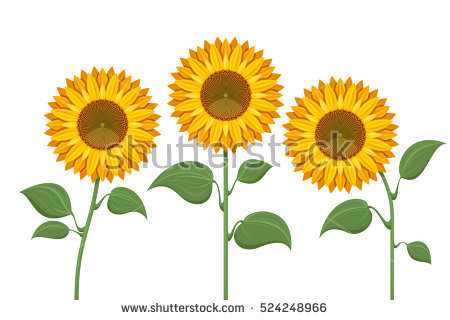 450x320 Sunflower Birthday Banner Lovely Sunflowers Vector Pattern