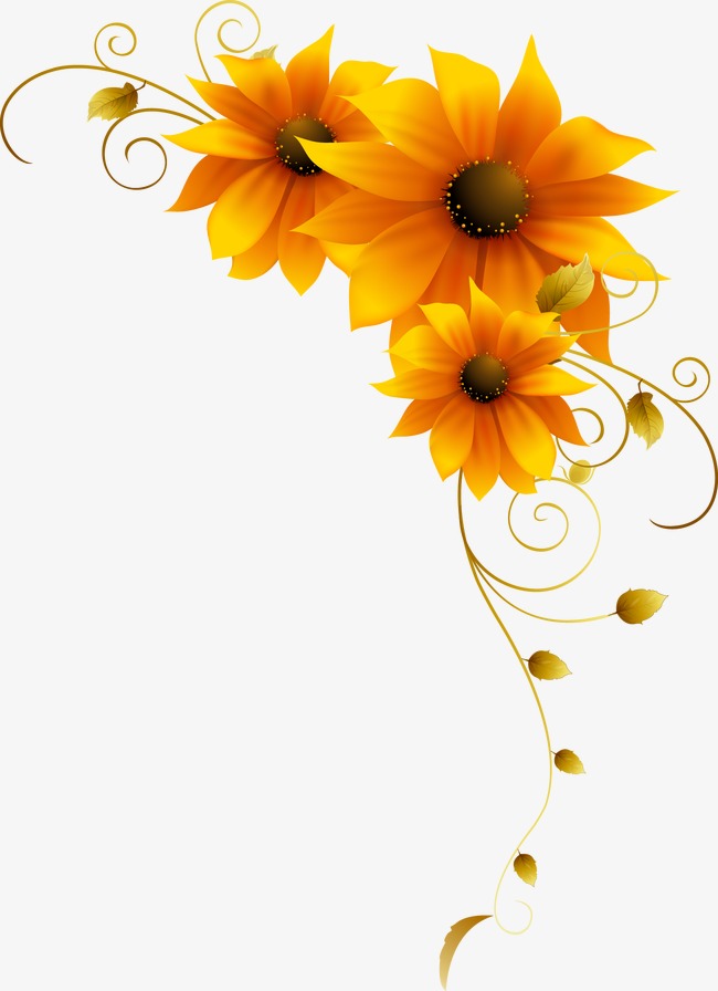 650x896 Sunflower Vectors, 983 Graphic Resources For Free Download