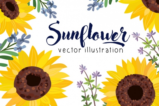 551x368 Sunflower Free Vector Download (243 Free Vector) For Commercial