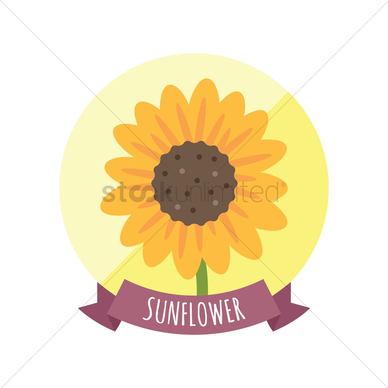 1300x1300 Free Sunflower Vector Image