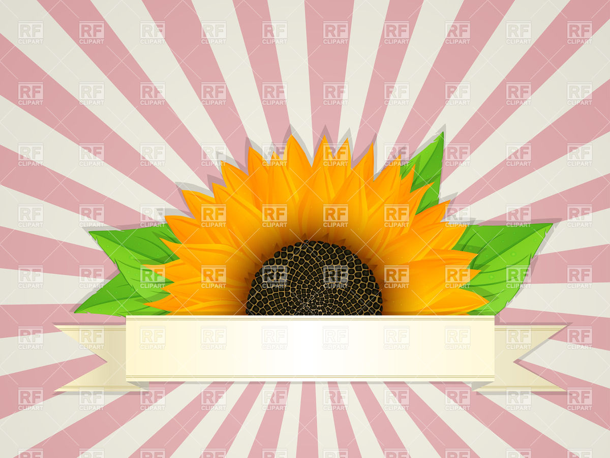 1200x900 Summer Banner Design With Graphic Sunflower Vector Image Vector