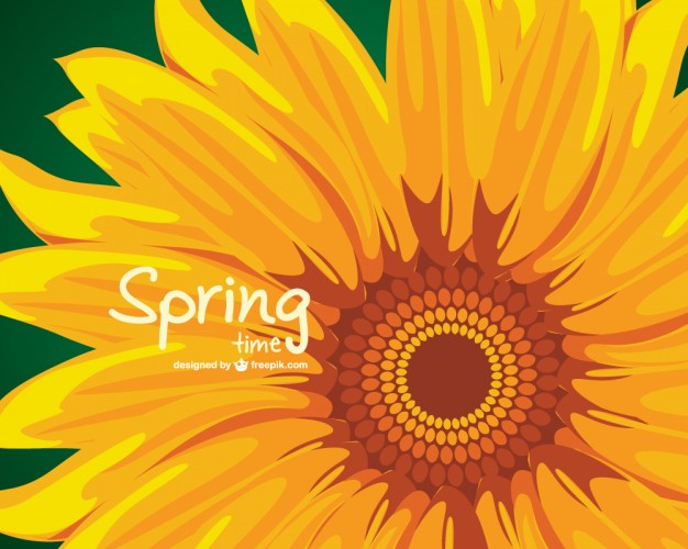 626x500 Sunflower Illustration Free Vector Free Vectors Ui Download