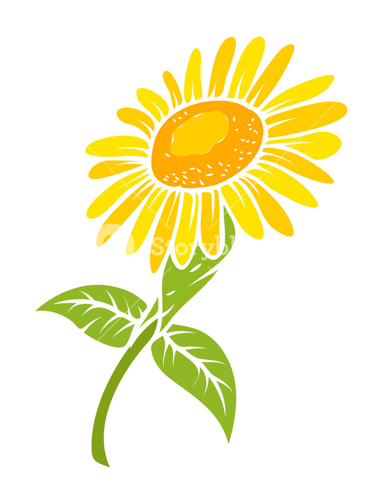 764x1000 Sunflower Vector Design Royalty Free Stock Image
