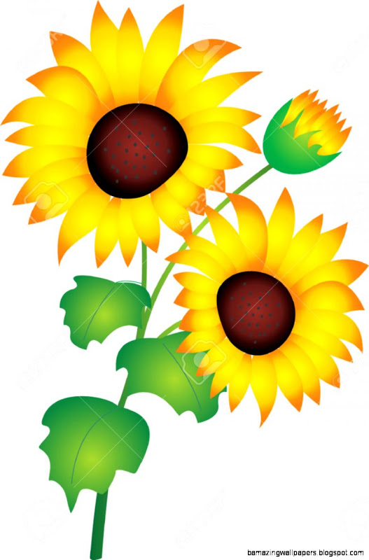 Sunflower Vector Free at GetDrawings | Free download