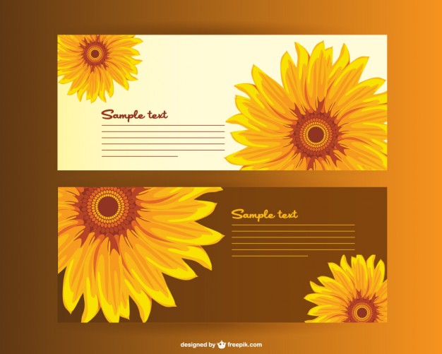 626x501 Sunflower Vector Vectors, Photos And Psd Files Free Download