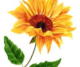 280x235 Sunflower Vector