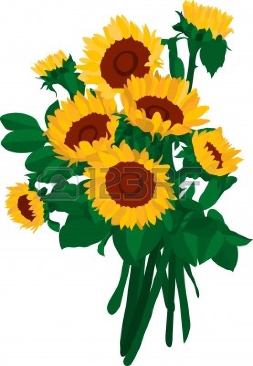 831x1203 Of Sunflowers Vector Clipart Panda