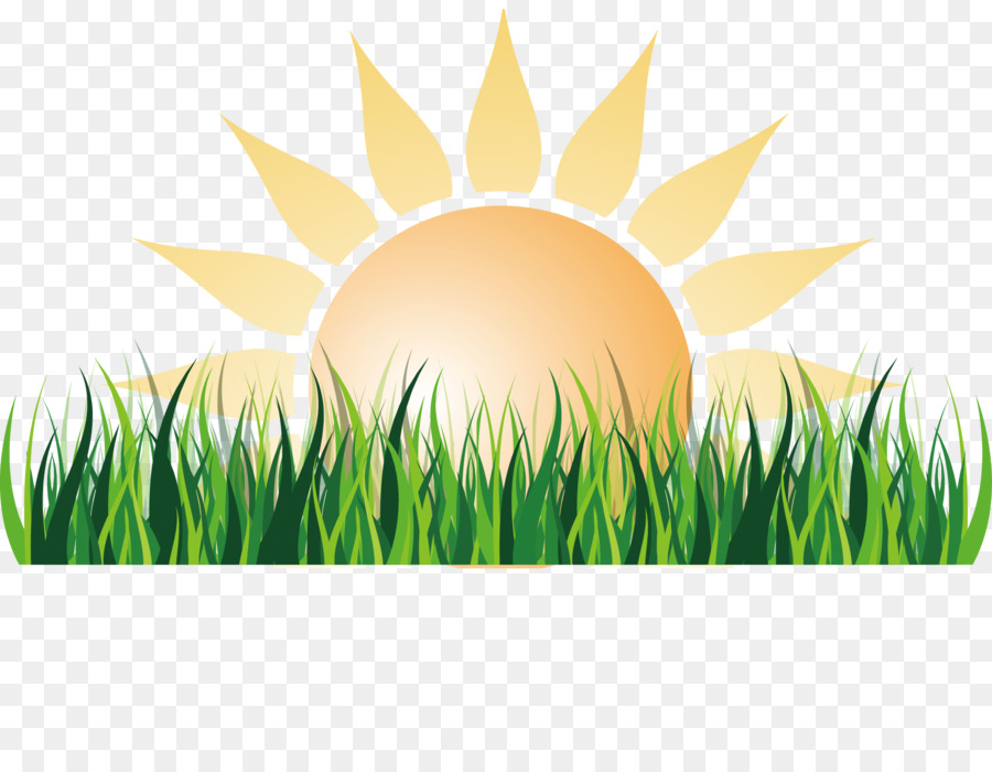 900x700 Sunlight Euclidean Vector