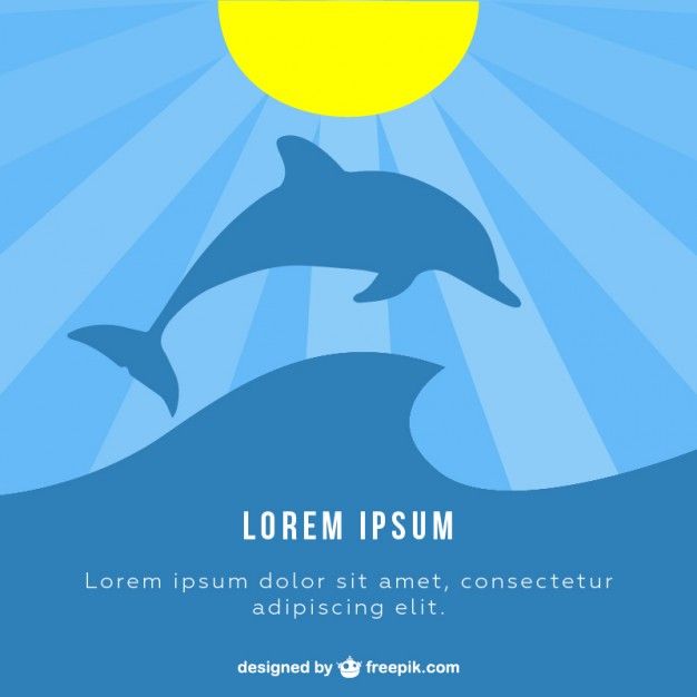626x626 Dolphin Sunlight Vector Illustration