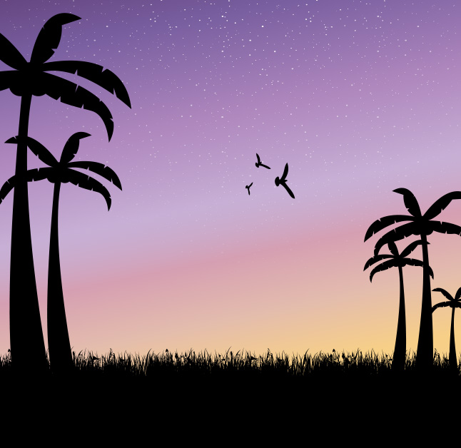 646x628 Sunset Palm Tree Vector Background Vector Art Amp Graphics