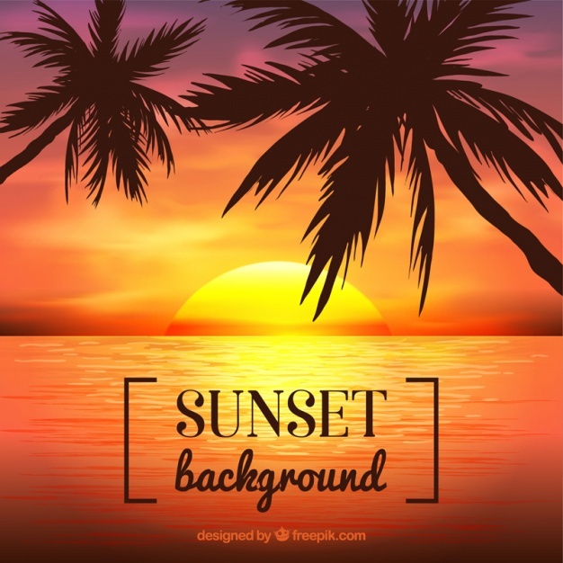 626x626 Sunset Vectors, Photos And Psd Files Free Download