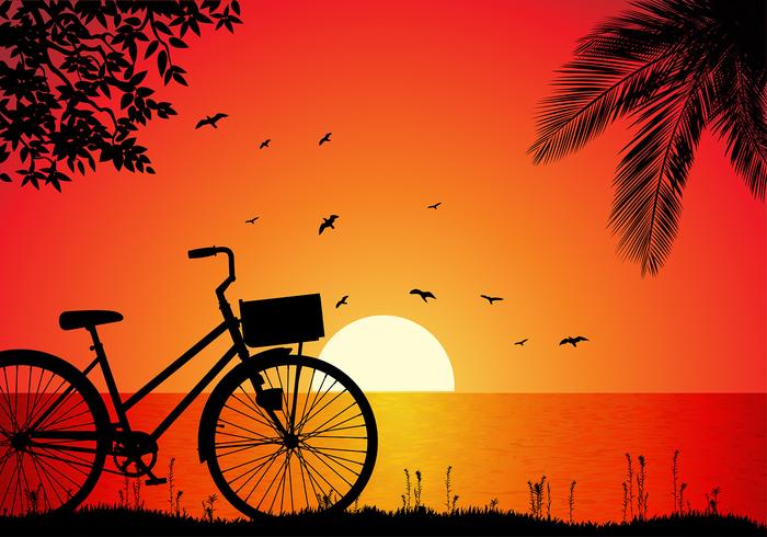 700x490 Bicicleta Beach Sunset Free Vector
