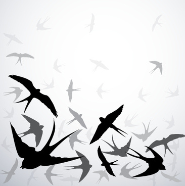 366x368 Free Swallow Vectors Free Vector Download (40 Free Vector) For