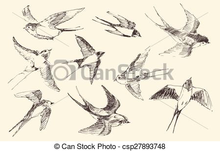 450x308 Swallow Clipart Drawn