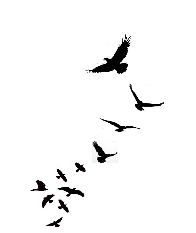 650x773 Swallow Clipart Free Bird