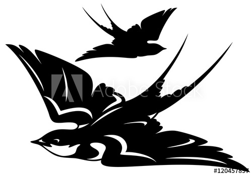 500x350 Swallow Bird Vector Outline And Silhouette