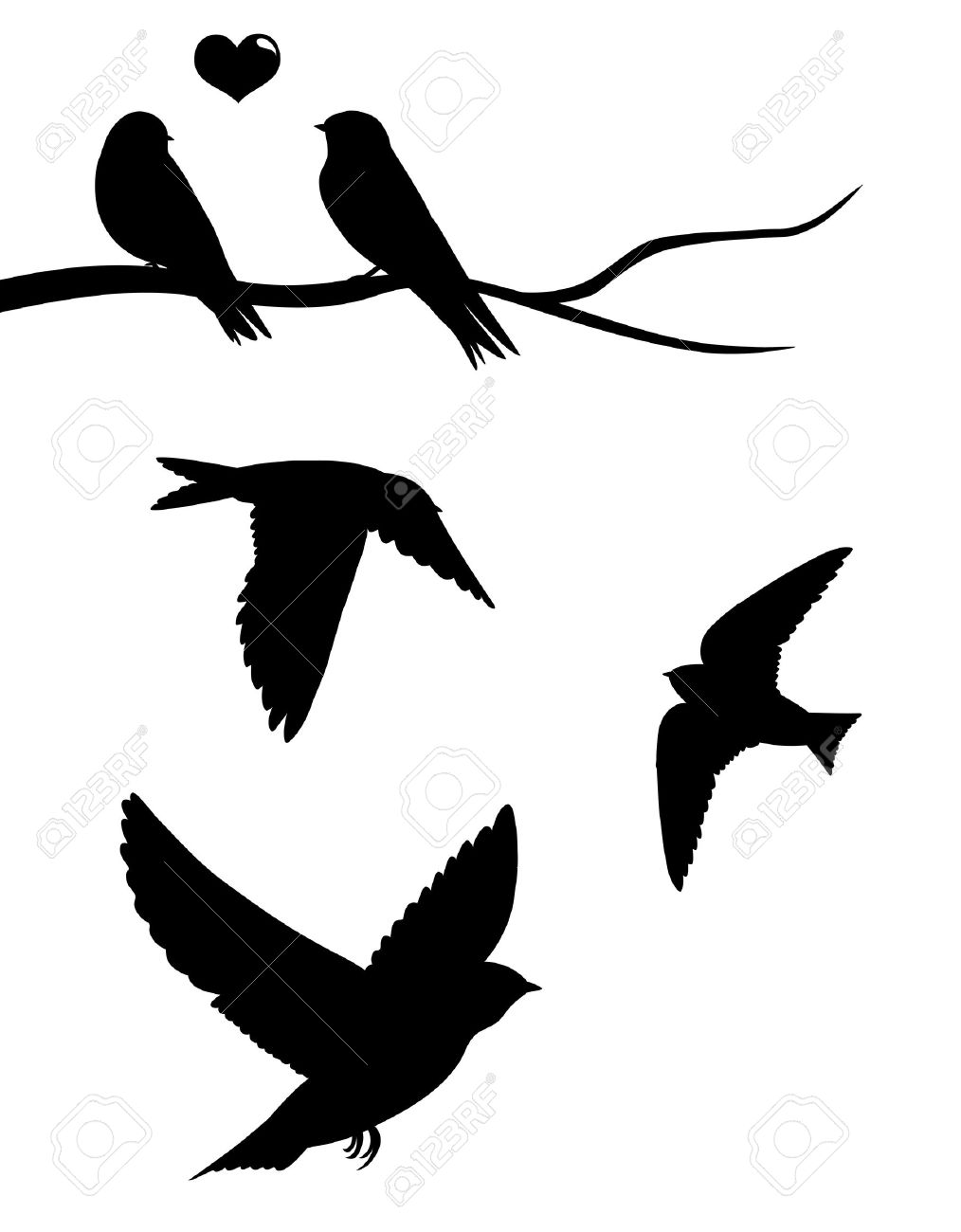 1014x1300 Swallow Bird Vector
