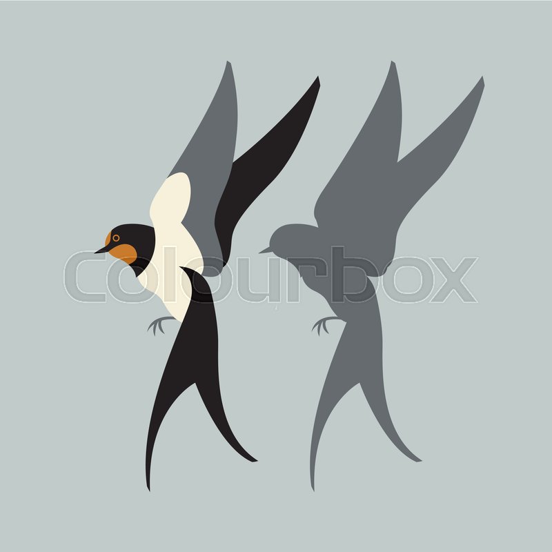 800x800 Swallow Vector Illustration Style Flat Set Black Silhouette