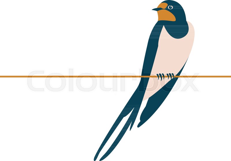 800x559 Swallow Vector Illustration Style Flat Side Front Stock Vector