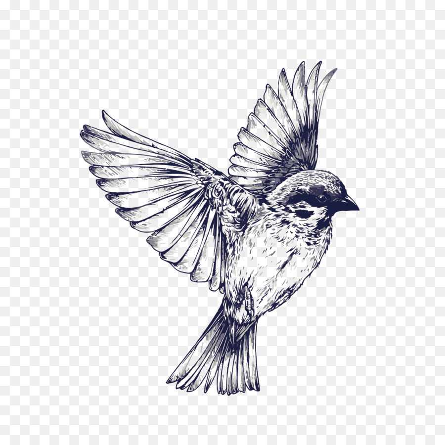 900x900 Bird Flight Tattoo Drawing Swallow