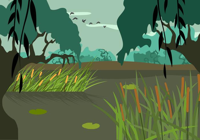 700x490 Swamp Illustration Vector