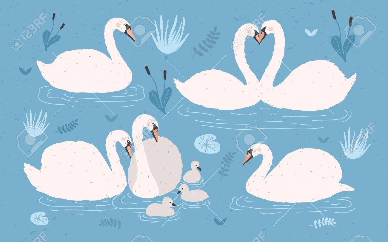 1300x812 Drawn Swan Vector