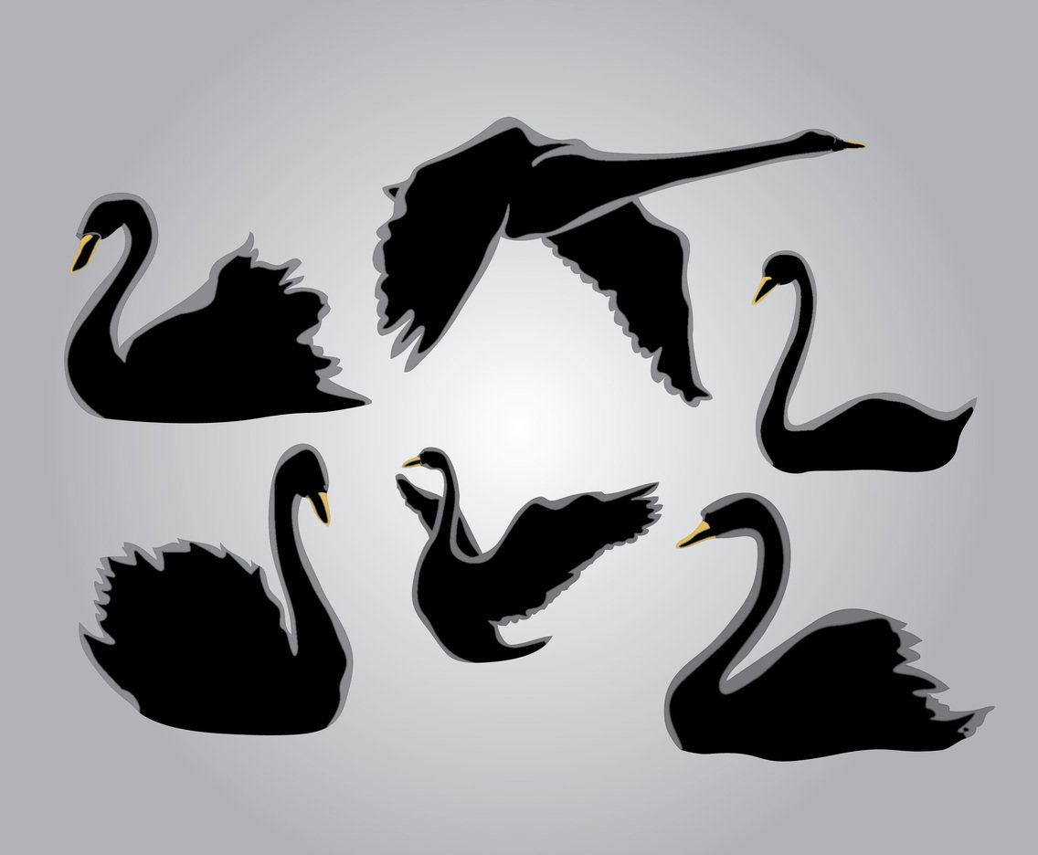1136x936 Six Silhouette Swan Vector Art Amp Graphics