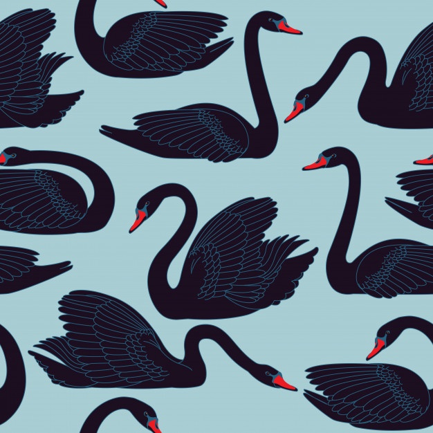 626x626 Swan Vectors, Photos And Psd Files Free Download