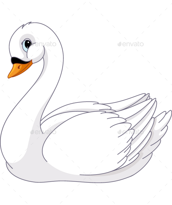 590x700 Swan Vectors From Graphicriver