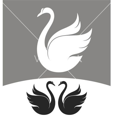380x400 Swan Vector Dovme Swans, Stenciling And Cricut