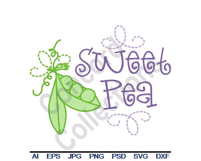 642x514 Sweet Pea Baby Svg Dxf Eps Png Jpg Vector Art Etsy