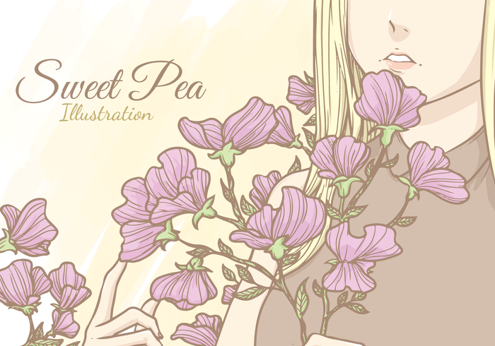 700x490 Sweet Pea Vector Illustration