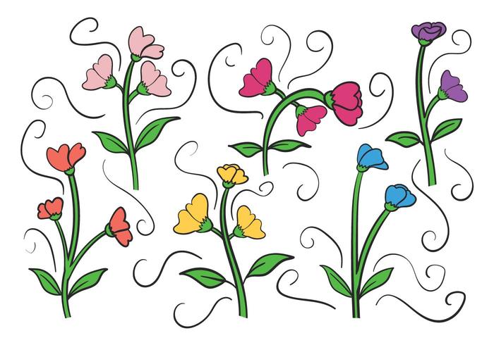 700x490 Sweet Pea Vector Set