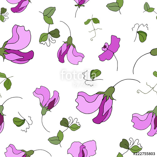 500x500 Garden Flora Sweet Pea Blossom And Leaves Seamless Pattern Vector