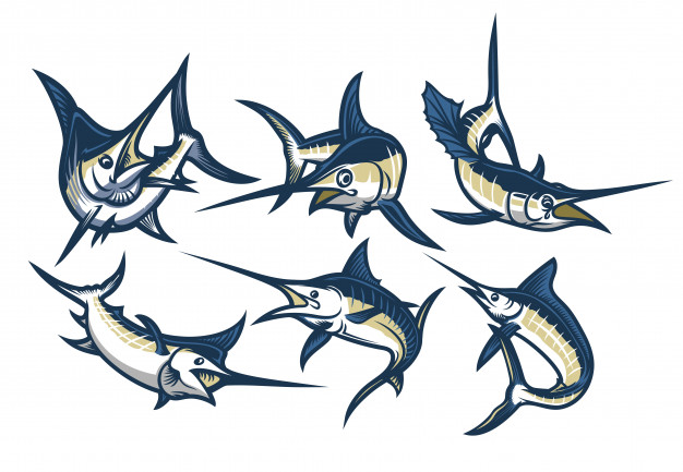 626x433 Set Of Swordfish Vector Premium Download