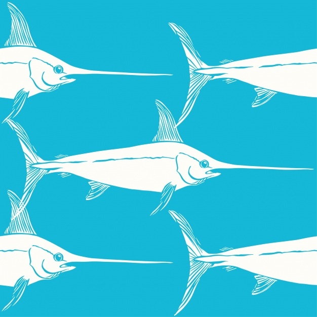 626x626 Swordfish Vectors, Photos And Psd Files Free Download