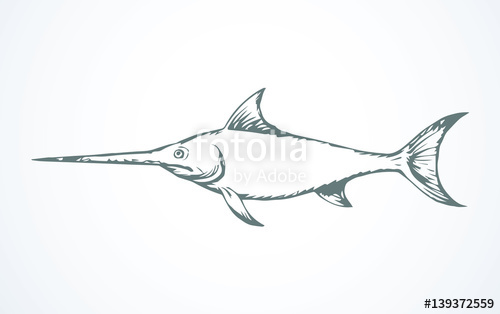 500x314 Swordfish. Vector Drawing Stock Image And Royalty Free Vector