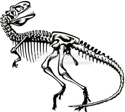 437x391 Tyrannosaurus Rex Clipart Skeleton