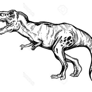 300x300 Cartoon Funny T Rex Vector Sohadacouri
