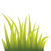 200x200 Tall Grass Clipart